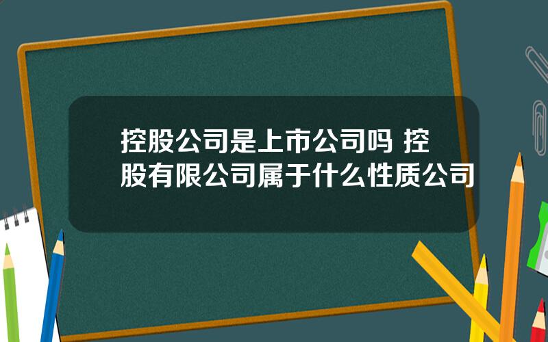 控股公司是上市公司吗 控股有限公司属于什么性质公司